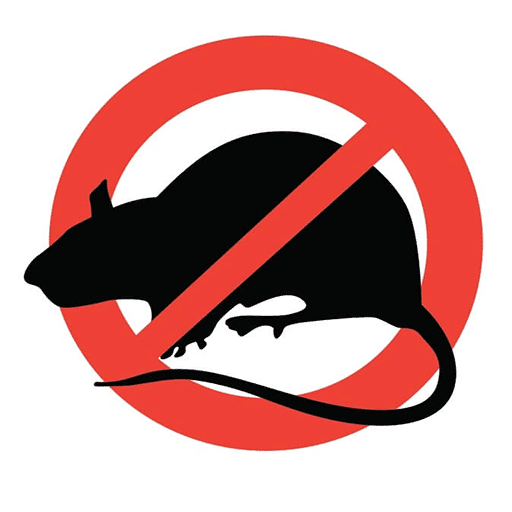 Dératisation Paris 75 : expert agréé en lutte contre les rats et souris entreprise de dératisation