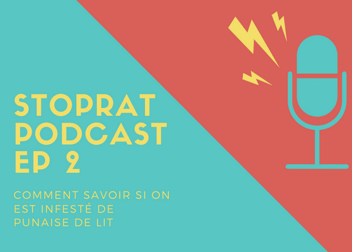Stoprat Podcast EP 2 - Comment savoir si on est infesté de punaise de lit
