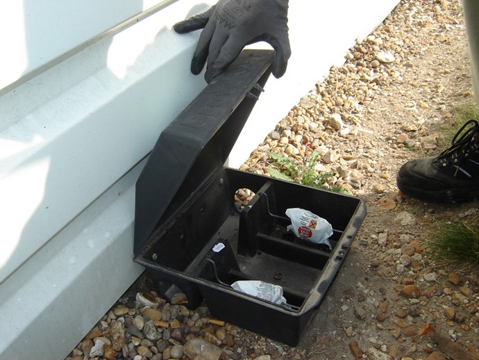 Dératisation Paris 75 : expert agréé en lutte contre les rats et souris Entreprise de Dératisation 3D à Paris 75 – Service Rapide Sous 2H