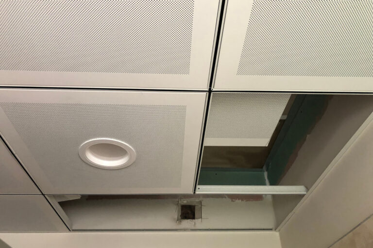 dératisation faux plafond