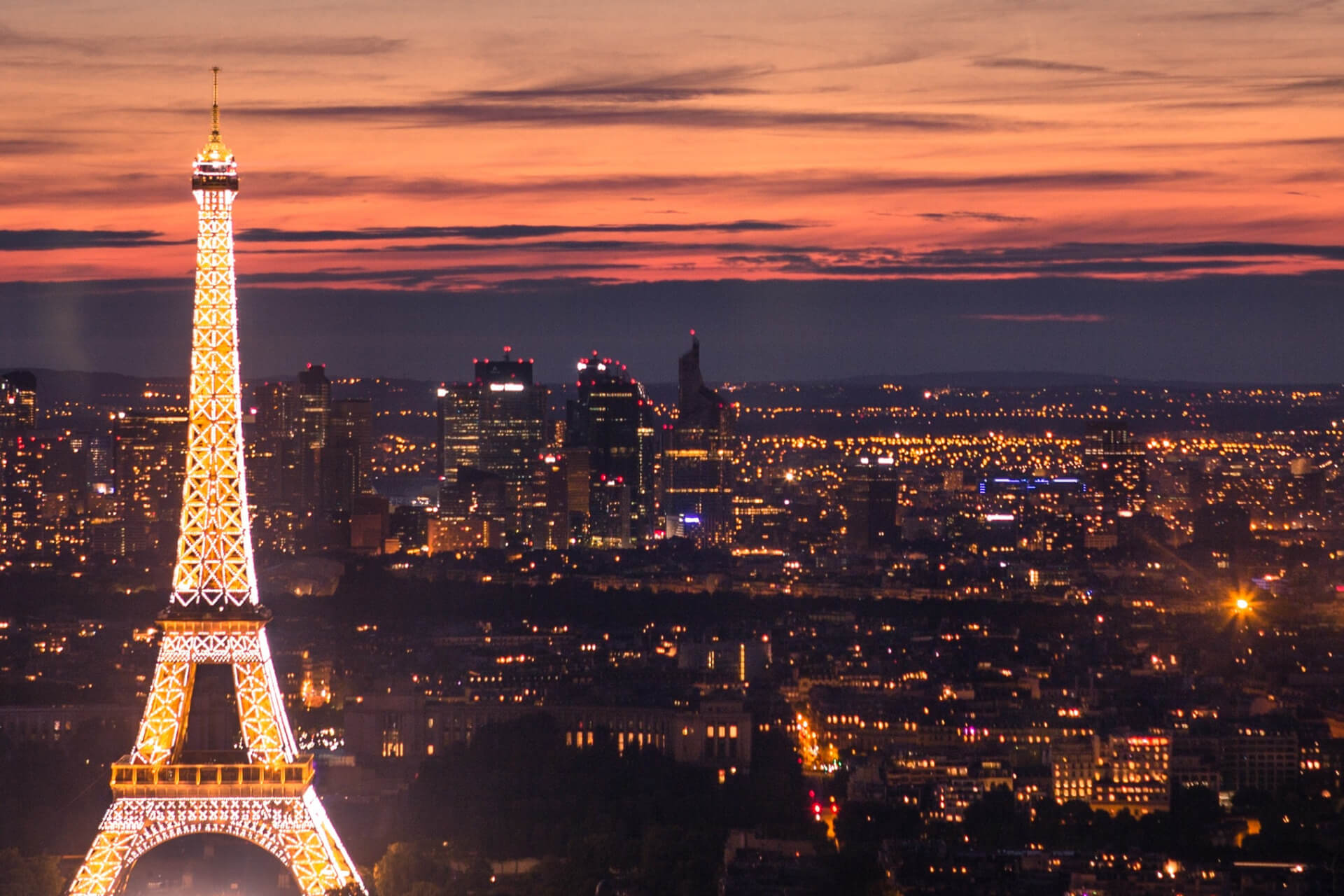 Entreprise de dératisation et désinsectisation