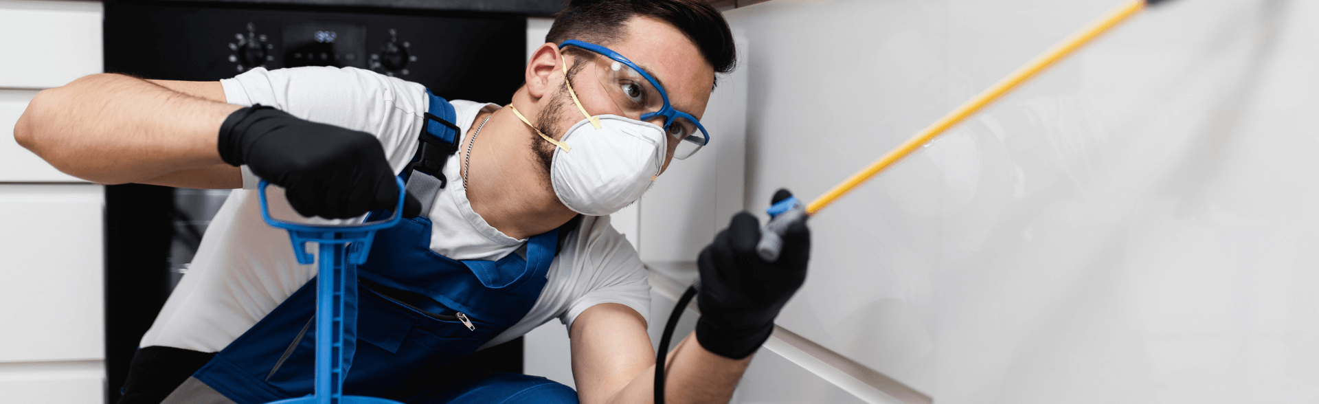 expert anti nuisibles