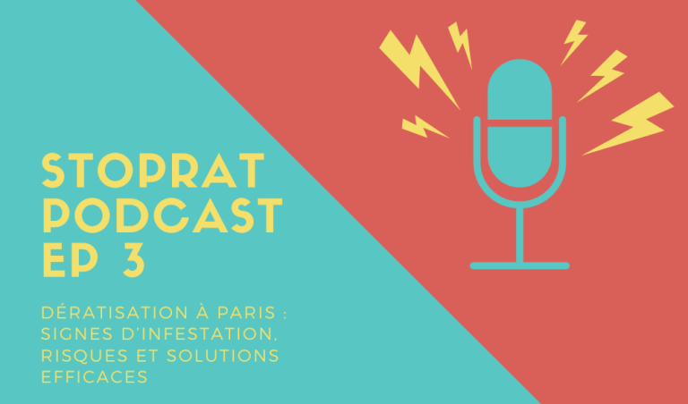 Stoprat Podcast EP 3 - Dératisation à Paris : signes d’infestation, risques et solutions efficaces