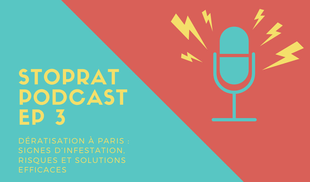 Stoprat Podcast EP 3 - Dératisation à Paris : signes d’infestation, risques et solutions efficaces